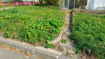 Фото 9.jpg Фото 9.jpg